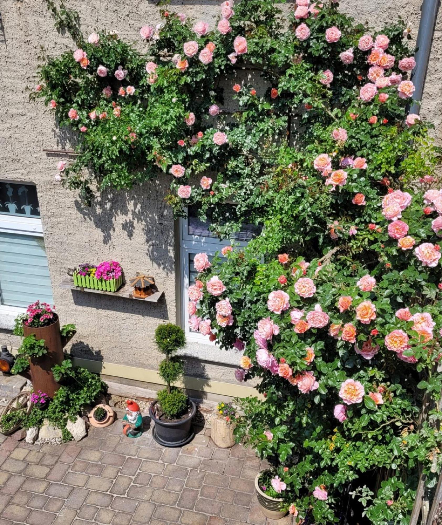 Ferienwohnung Domblick Naumburg  Luaran gambar